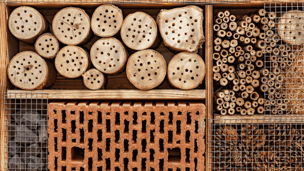 Insect hotels: shelters for beneficial biodiversity