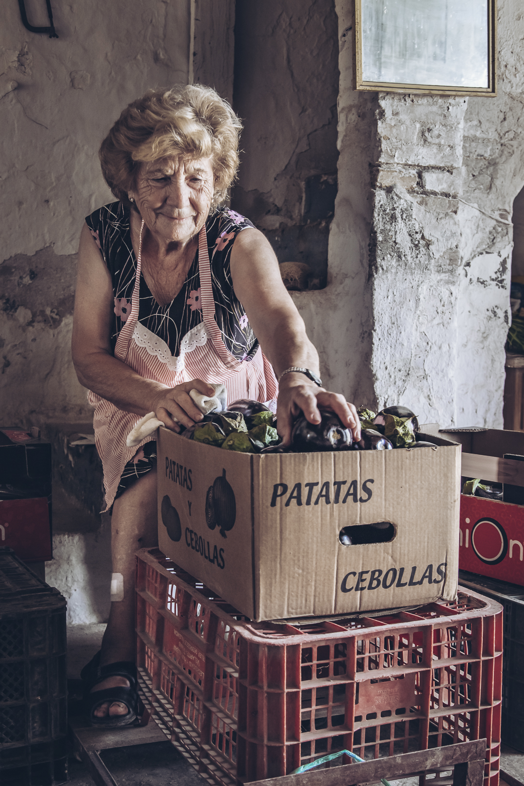 Imagen del proyecto La tradición de los trabajos en la huerta valenciana