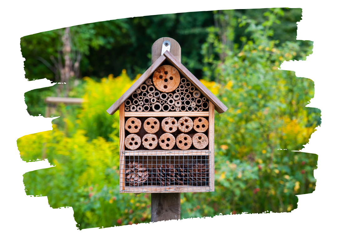 Insect hotels: shelters for beneficial biodiversity
