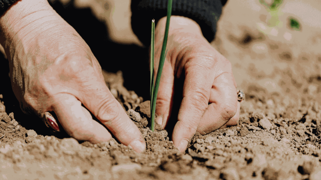 Com pots donar suport a les dones de l’horta?