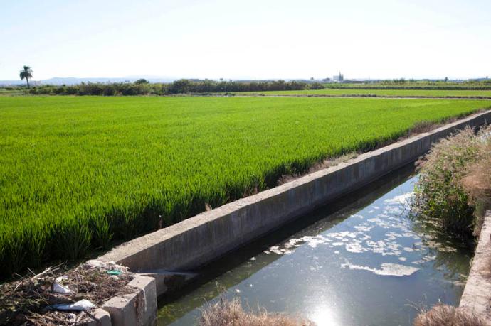 Las acequias de la Vega de Valencia: patrimonio hídrico vivo de la Huerta Valenciana