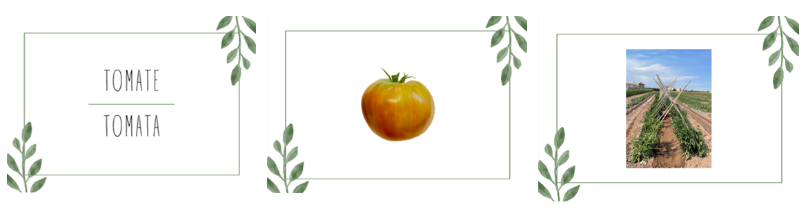 The huerta and the Mediterranean diet