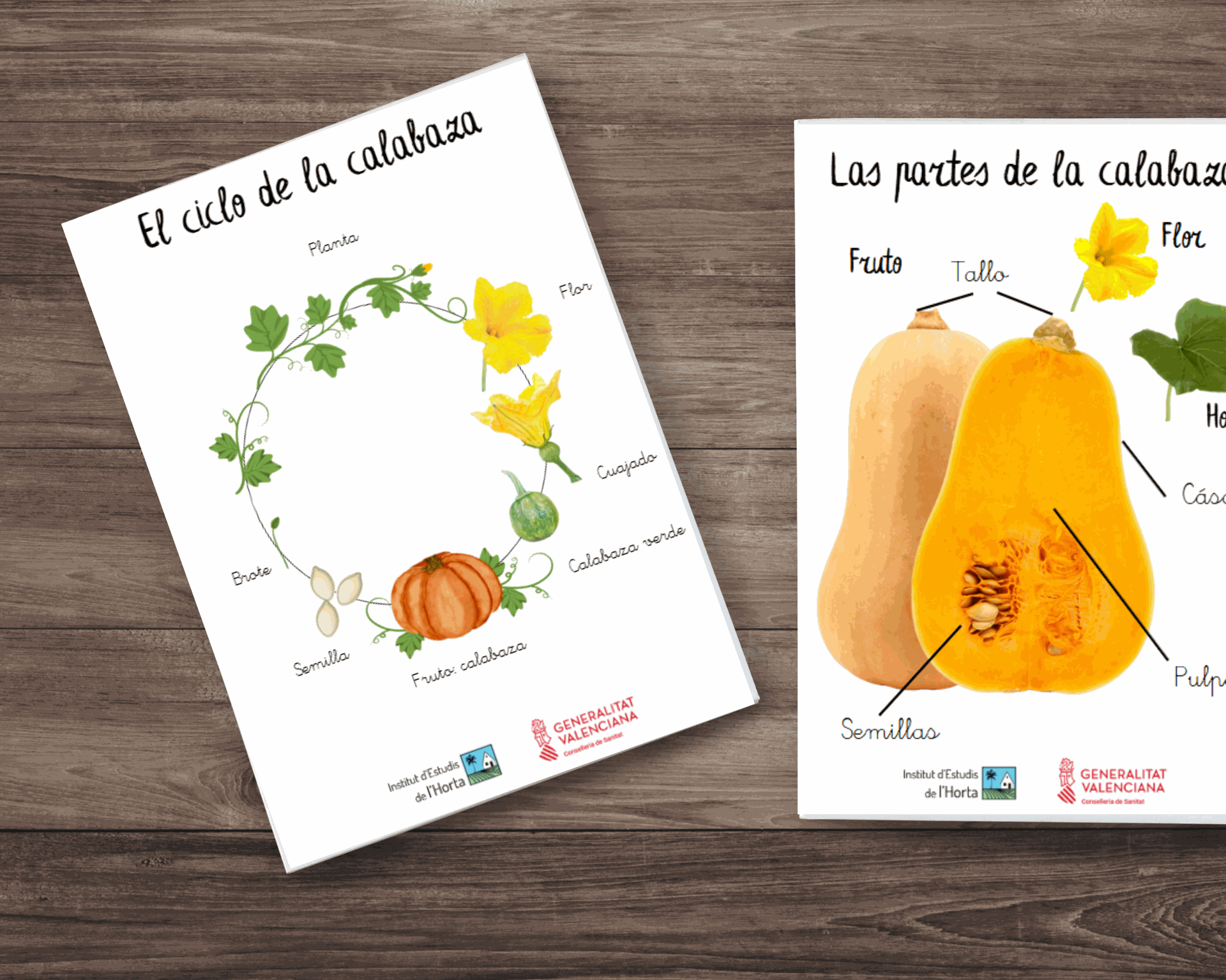 Imagen del proyecto Alimentación saludable desde la infancia