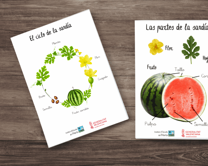 Imagen del proyecto Alimentación saludable desde la infancia
