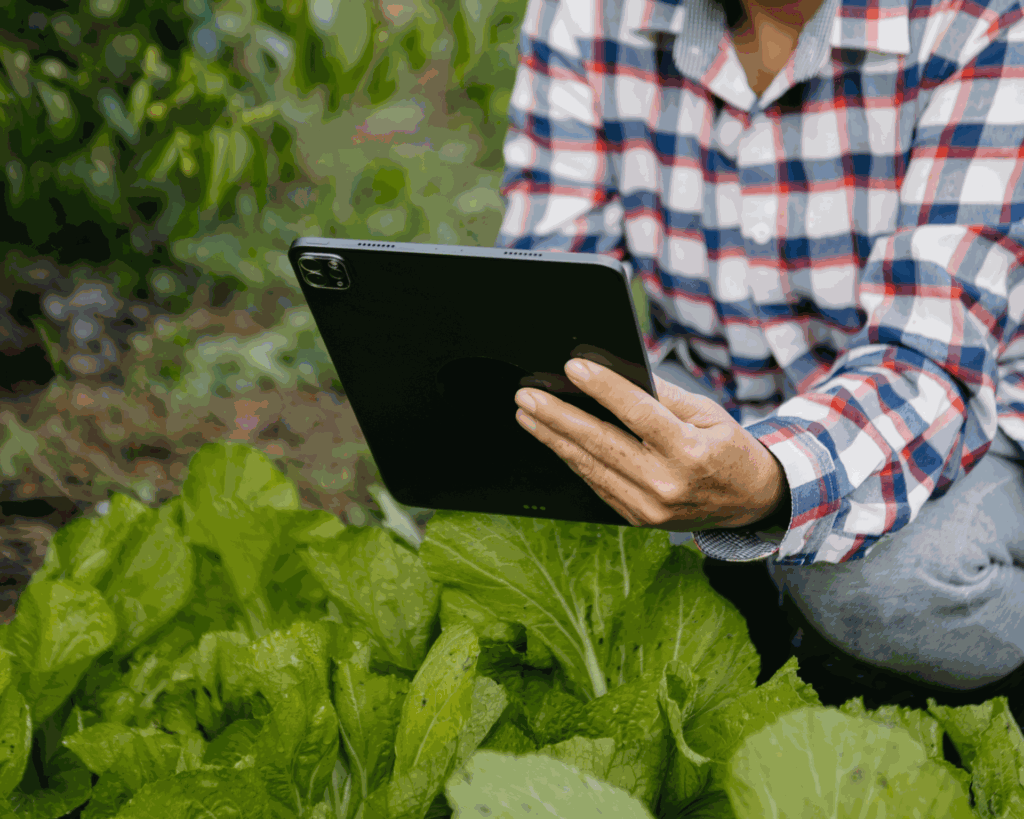 ¿Sabías que la inteligencia artificial está revolucionando la agricultura? 🌾 Descubre cómo la IA y ChatGPT están ayudando en el campo y en tu día a día.