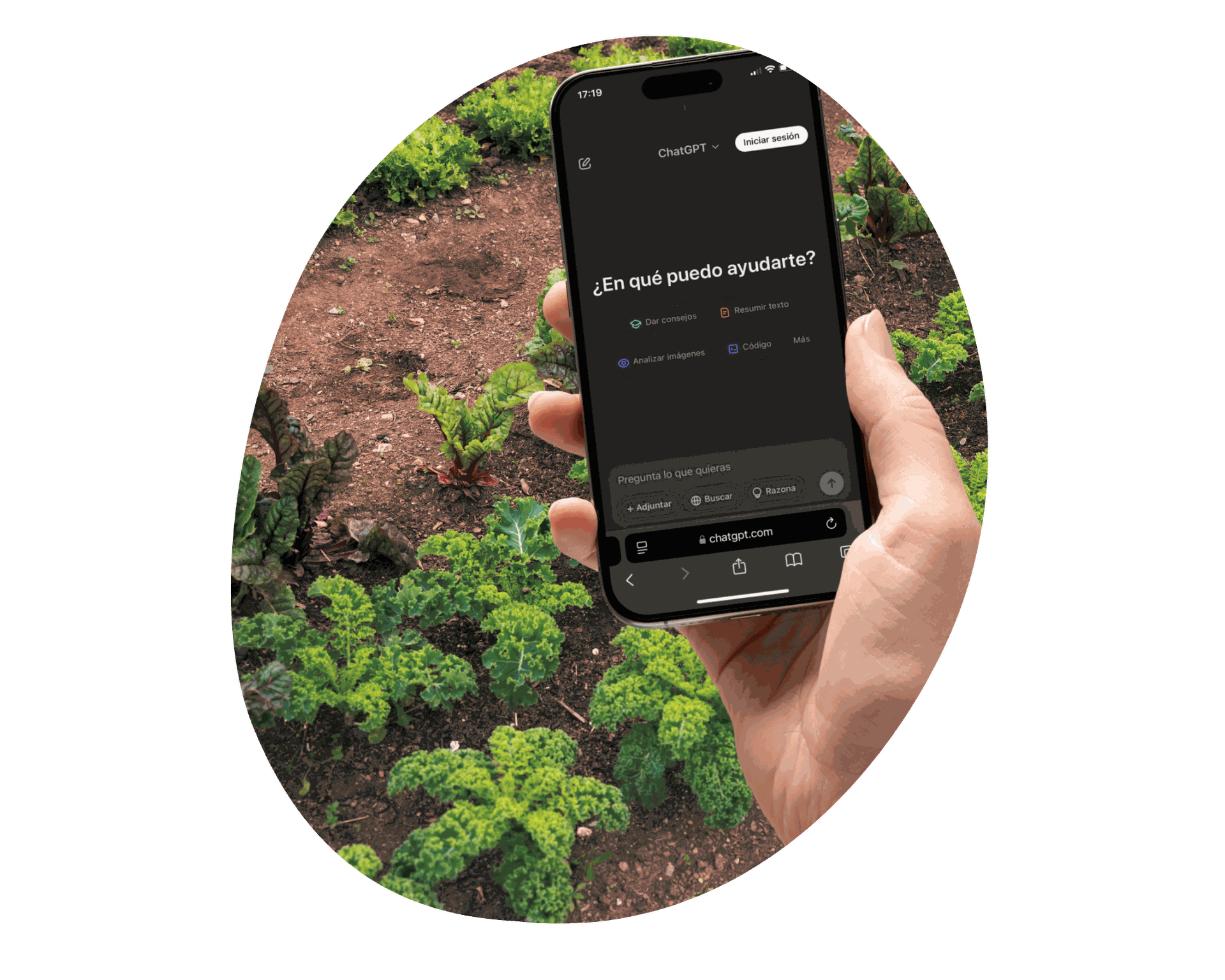 ¿Sabías que la inteligencia artificial está revolucionando la agricultura? 🌾 Descubre cómo la IA y ChatGPT están ayudando en el campo y en tu día a día.