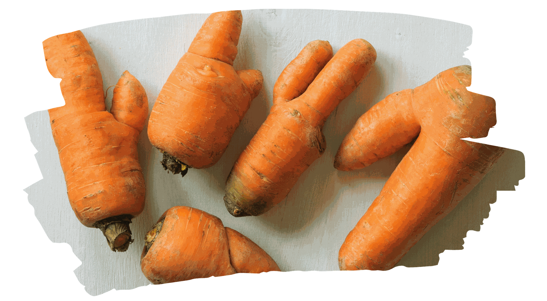 New Law against Food Waste in Spain