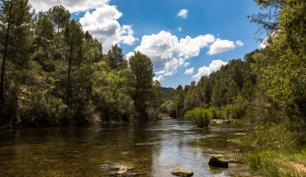 El Turismo Rural como Solución al Despoblamiento: El Caso del Valle de Cabriel