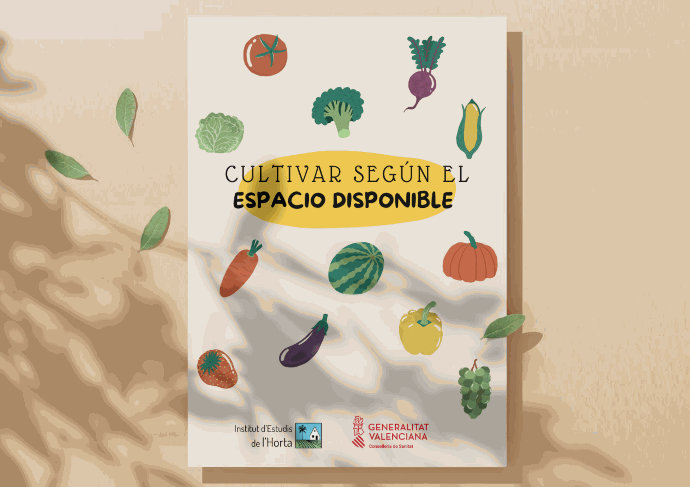 Imatge del projecte Huertos urbanos para promover entornos saludables