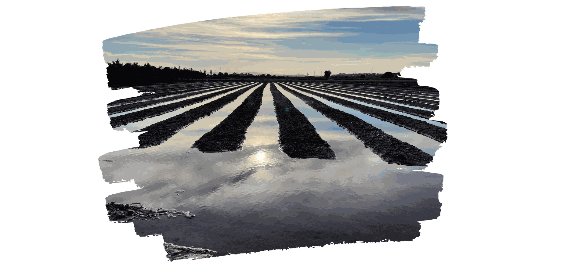 Valencia's Market-Garden Landscape and Its Role in the Mediterranean Diet