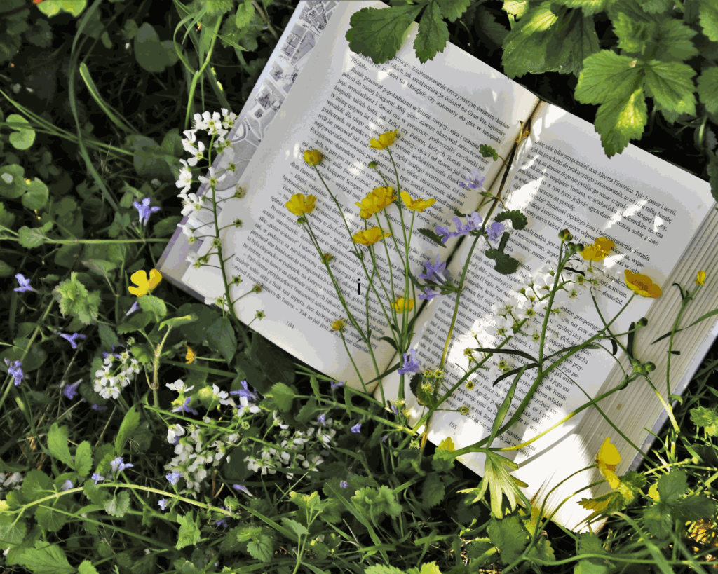 Valencian-Language Book Recommendations for Young Children