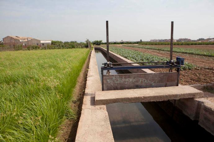 Las acequias de la Vega de Valencia: patrimonio hídrico vivo de la Huerta Valenciana