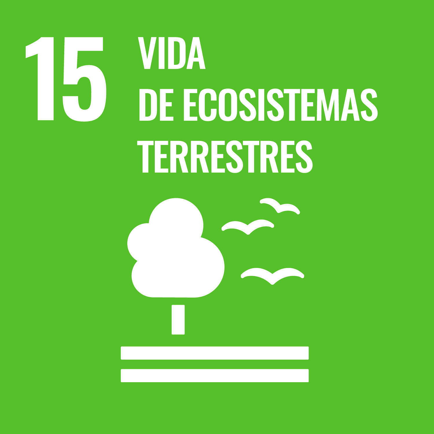 Incendios forestales