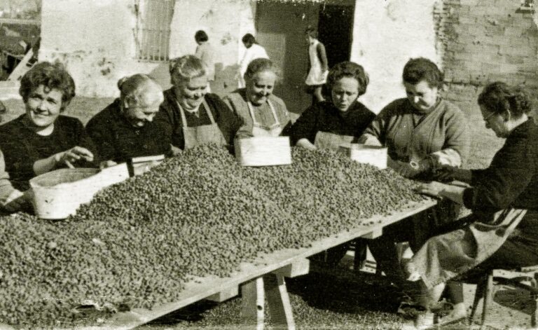 Nuevos recursos para visibilizar el papel de las mujeres en la huerta valenciana