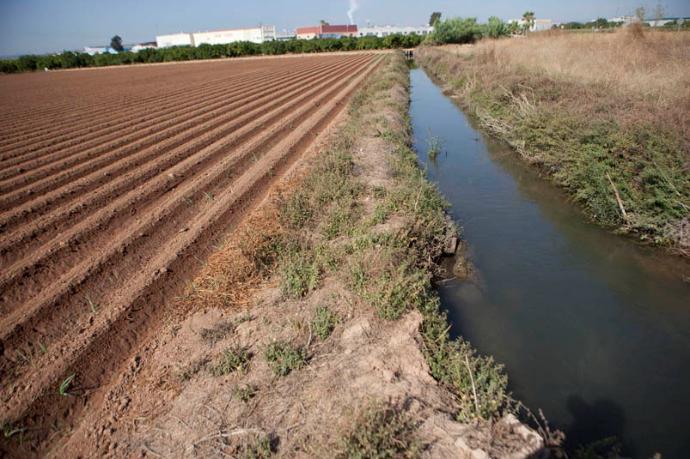 Las acequias de la Vega de Valencia: patrimonio hídrico vivo de la Huerta Valenciana