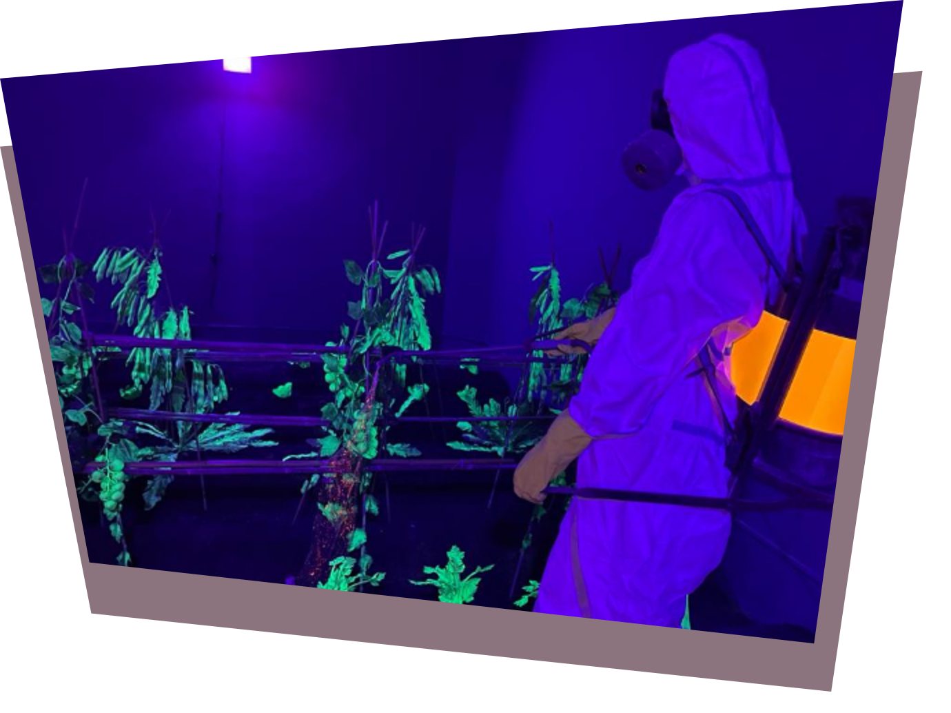 La exposición en el CCCC «Emergency on Planet Earth» y cómo la agroecología puede ser un factor de cambio