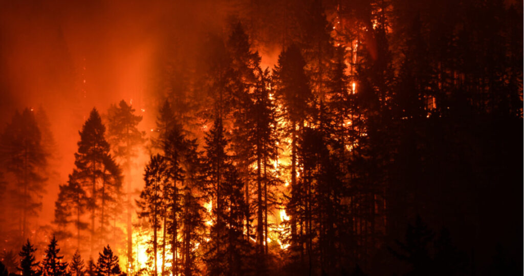 Incendios forestales