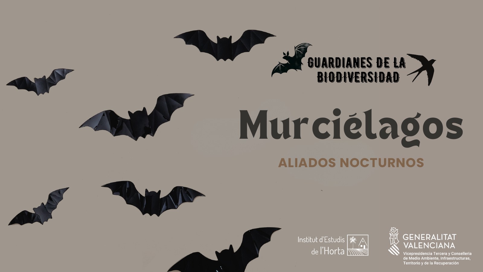 Presentación sobre murciélagos
