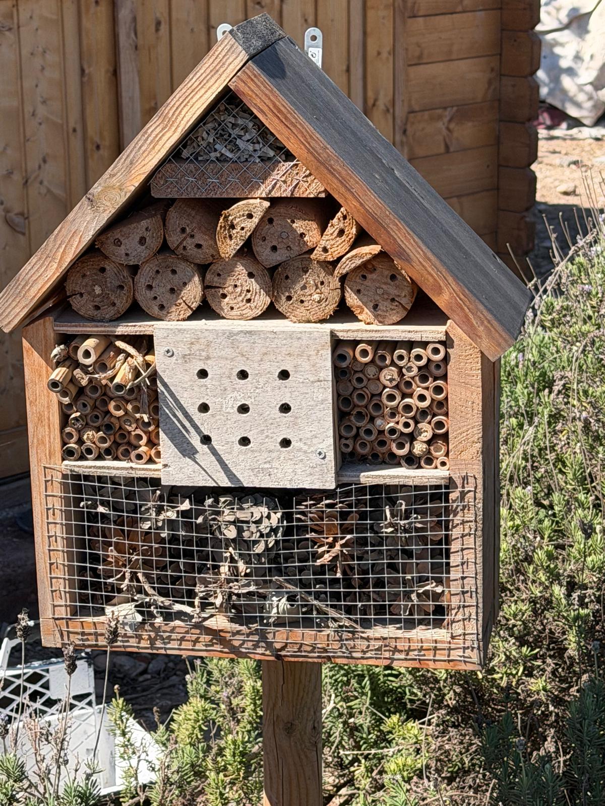 Detail of the materials and cavities in a project insect hotel