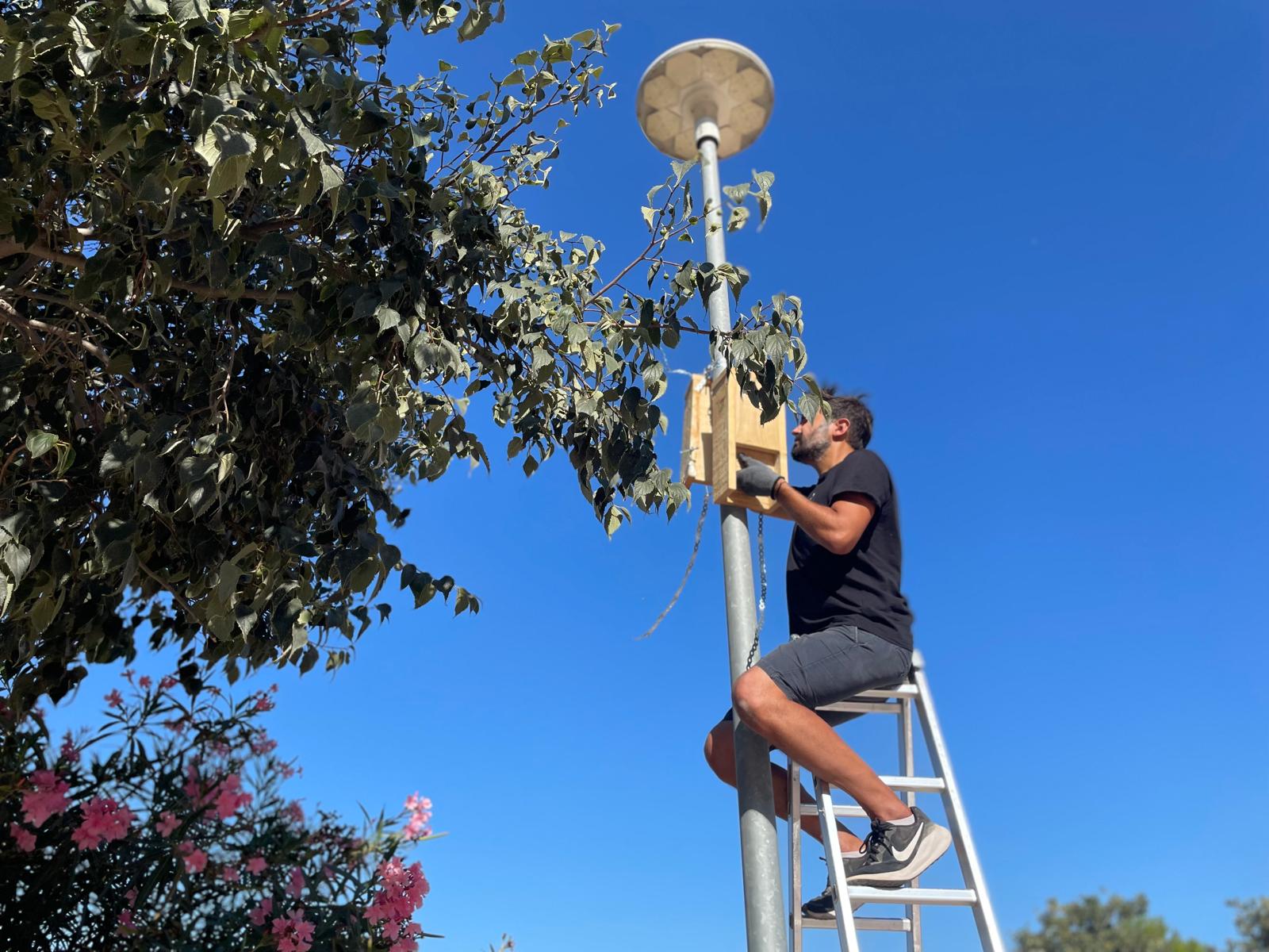 Installing an artificial wildlife shelter as part of the project